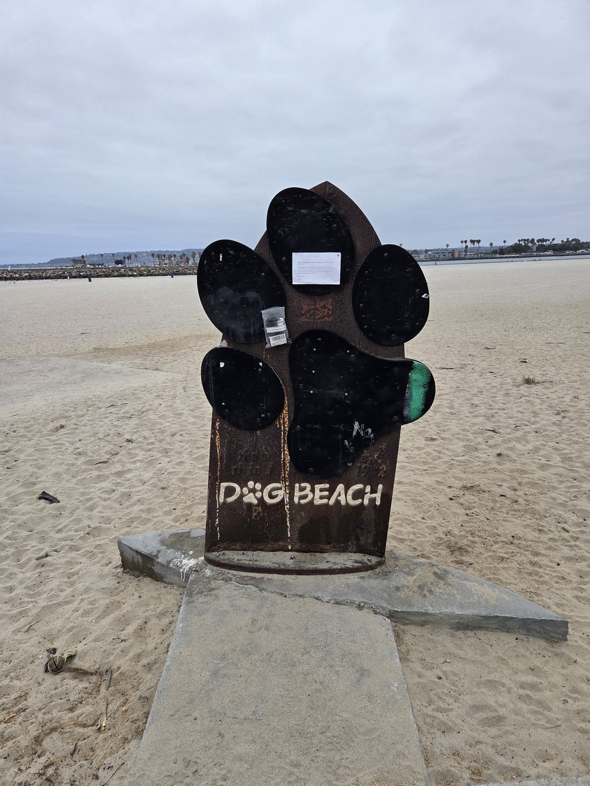 Dogs playing at Dog Beach, Ocean Beach San Diego โ photo 2