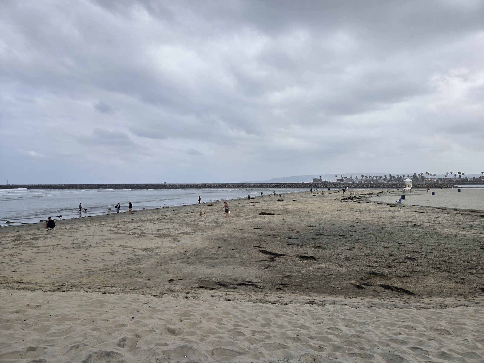 Dog Beach at Ocean Beach, San Diego 92107 โ photo 5