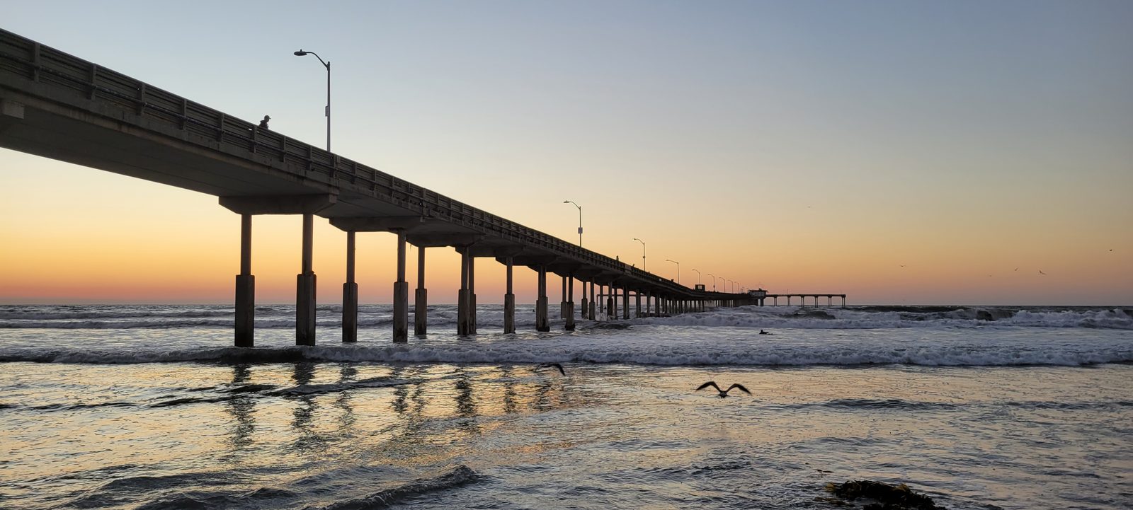 Ocean Beach Pier on the San Diego coast, 92107 โ photo 13