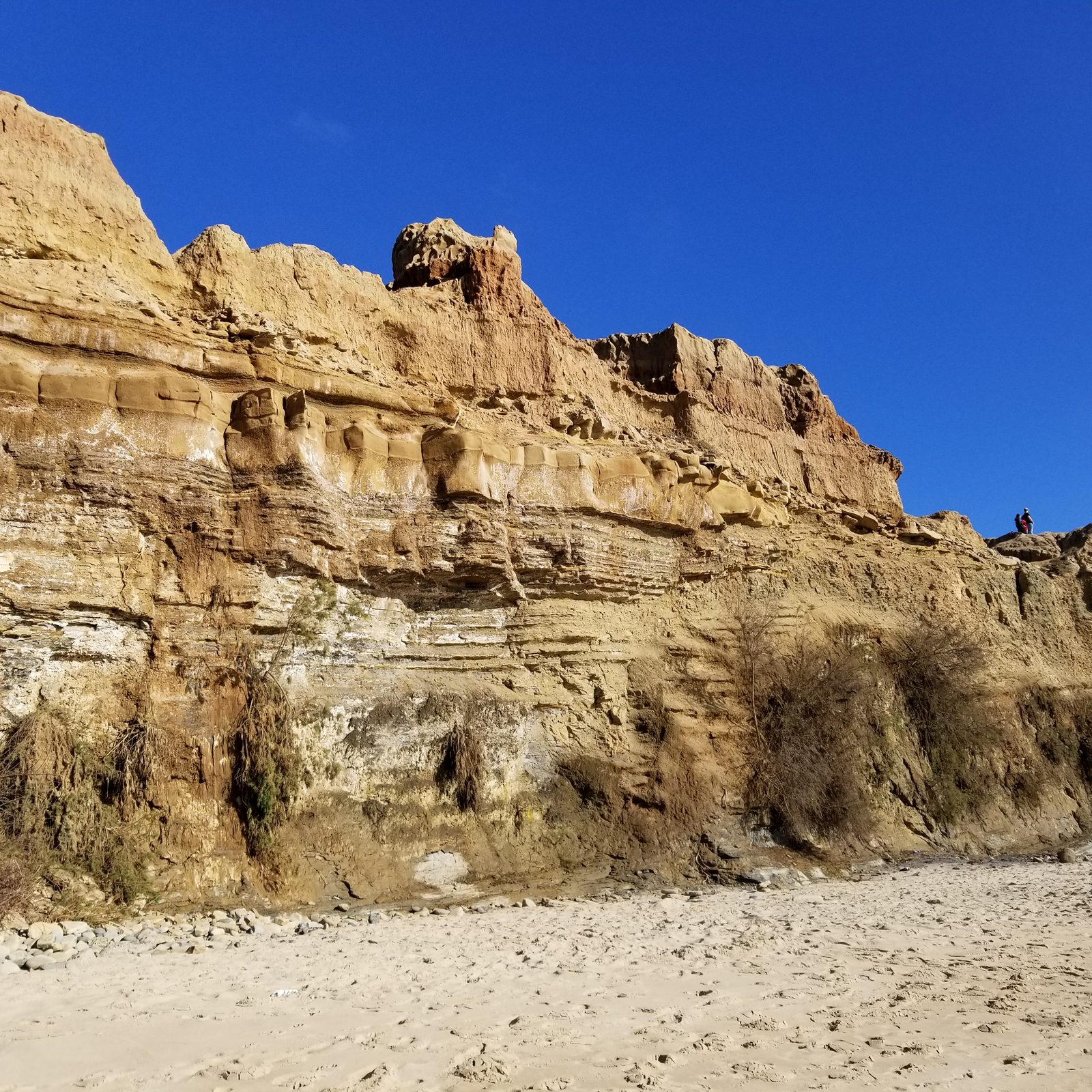 Sunset Cliffs Natural Park bluffs, San Diego 92107 โ photo 1