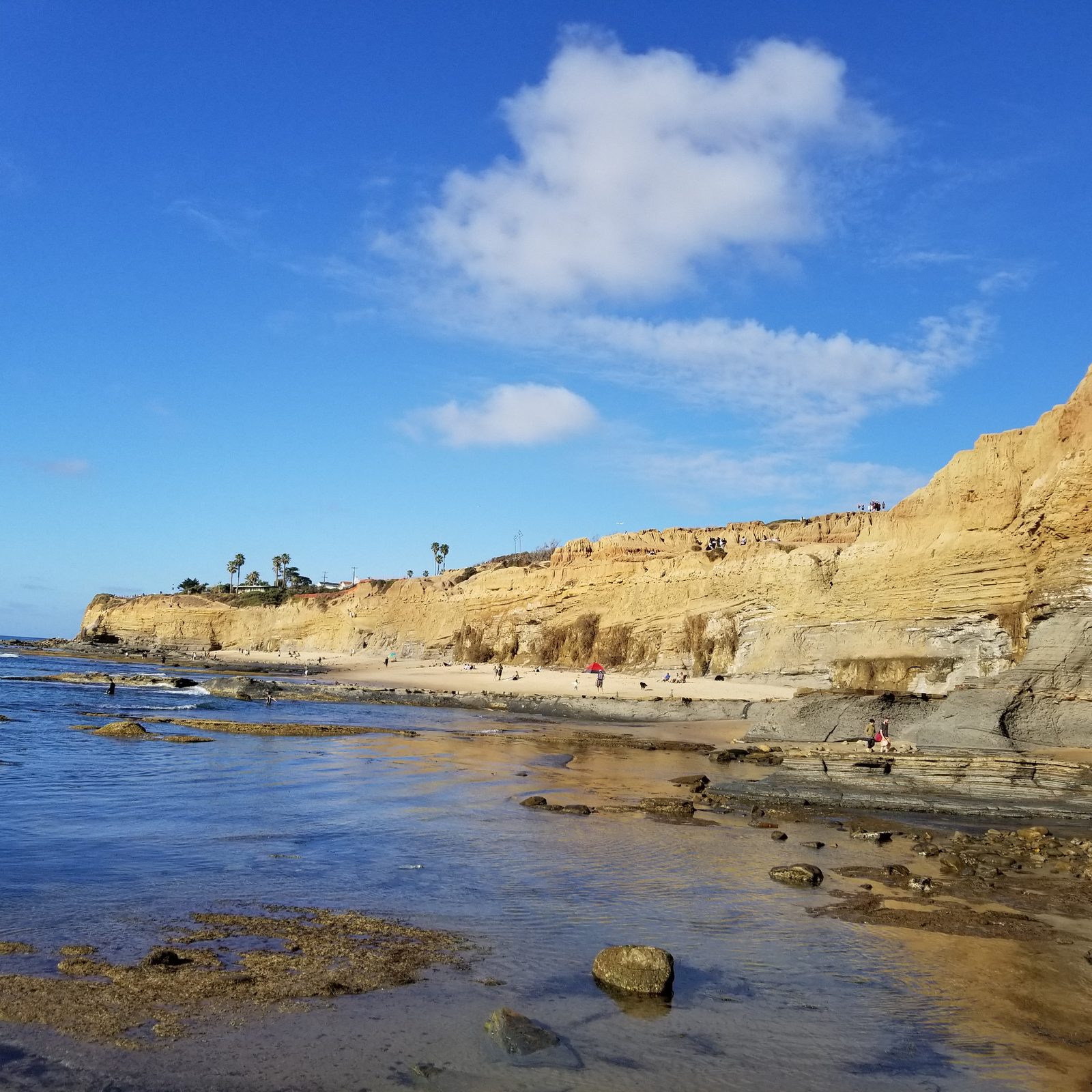 Sunset Cliffs sandstone cliffs at golden hour, San Diego โ photo 2