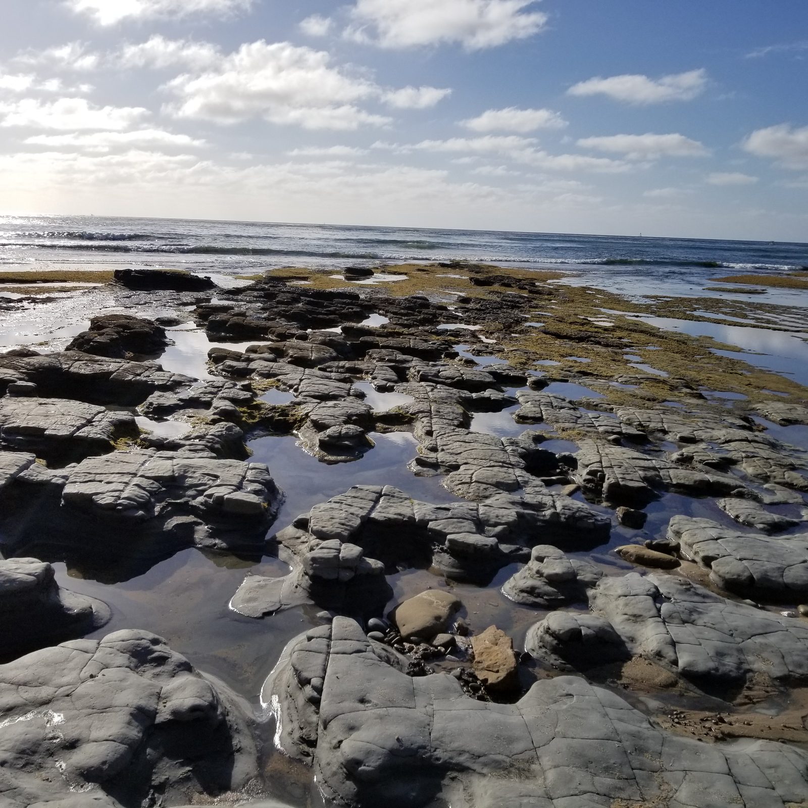 Ocean Beach tide pools at low tide, San Diego 92107 โ photo 1